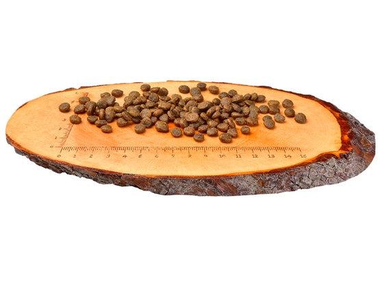 Carnilove Dog Fresh Ostrich & Lamb Adult Small - struś i jagnięcina 6kg - Image 2