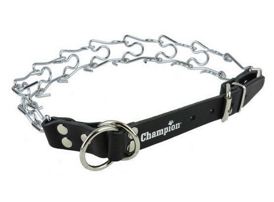 Champion Kolczatka [1 RYM] - Image 1