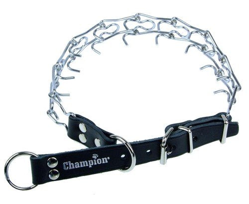 Champion Kolczatka [1 RYM] - Image 2