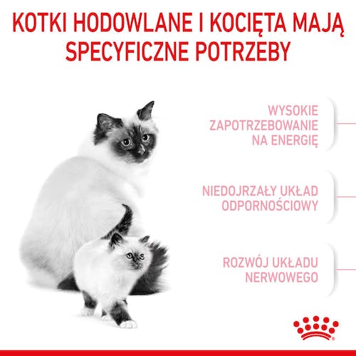 Royal Canin Mother&Babycat karma sucha dla kotek w okresie ciąży, laktacji i kociąt od 1 do 4 miesiąca 400g - Image 2