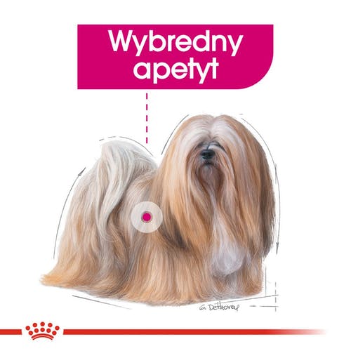 Royal Canin Exigent karma mokra dla wybrednych psów dorosłych, wszystkich ras, pasztet saszetka 85g - Image 2
