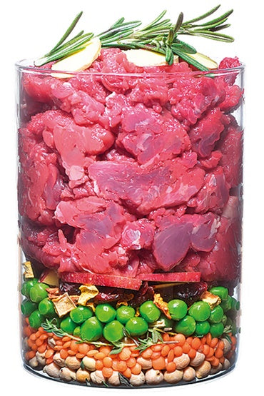 Carnilove Dog True Fresh Beef Adult - wołowina 11,4kg - Image 3
