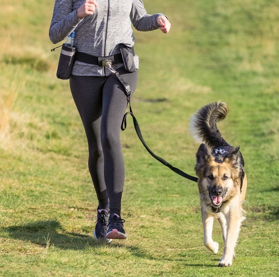 Trixie Pas biodrowy i Smycz Hands Free - zestaw do dogtrekkingu [TX-1275] - Image 2
