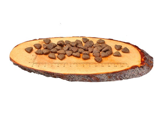 Carnilove Dog Salmon Adult - łosoś 12kg - Image 2