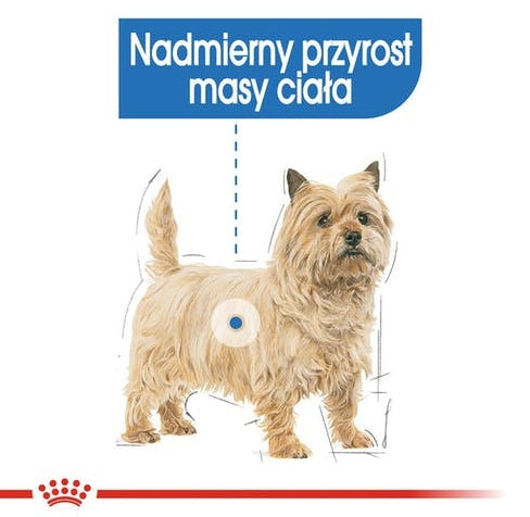 Royal Canin Light Weight Care karma mokra dla psów dorosłych, wszystkich ras z tendencją do nadwagi saszetka 85g - Image 2
