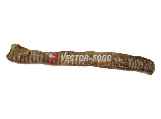 Vector-Food Tchawica wołowa cała 1szt/35cm - Image 2