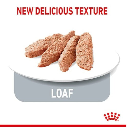 Royal Canin Ultra Light pasztet karma mokra dla kotów dorosłych, z tendencją do nadwagi saszetka 85g - Image 2