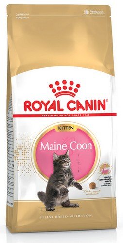 Royal Canin Maine Coon Kitten karma sucha dla kociąt, do 15 miesiąca, rasy maine coon 4kg - Image 2