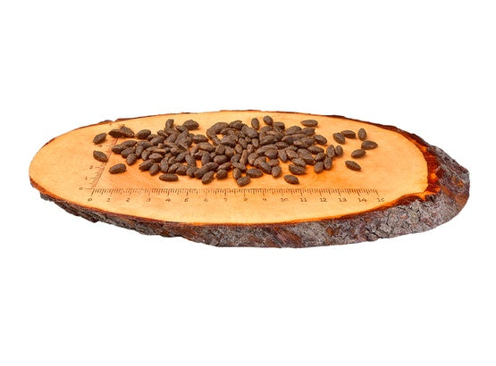 Carnilove Cat Salmon Sensitive & Long Hair - łosoś 400g - Image 2