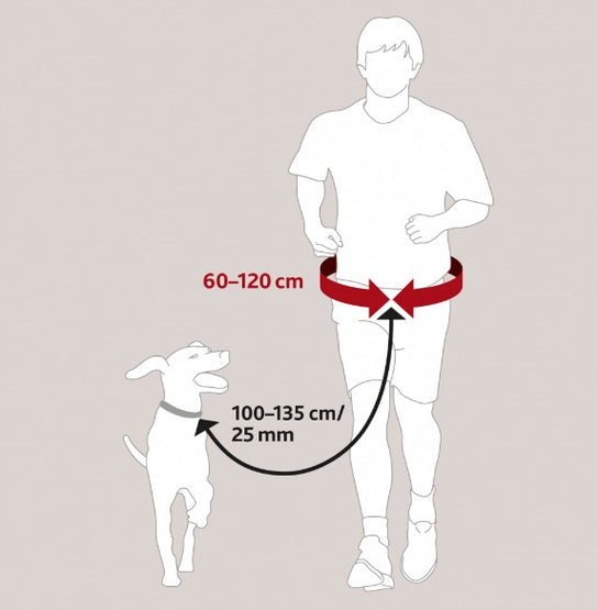 Trixie Pas biodrowy i Smycz Hands Free - zestaw do dogtrekkingu [TX-1275] - Image 3