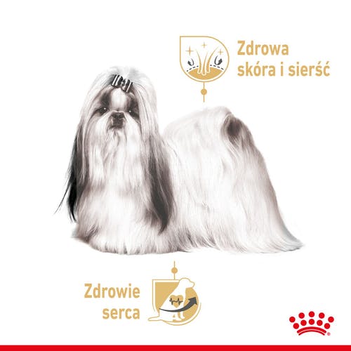 Royal Canin Shih Tzu Adult karma mokra dla psów dorosłych rasy shih tzu saszetka 85g - Image 3