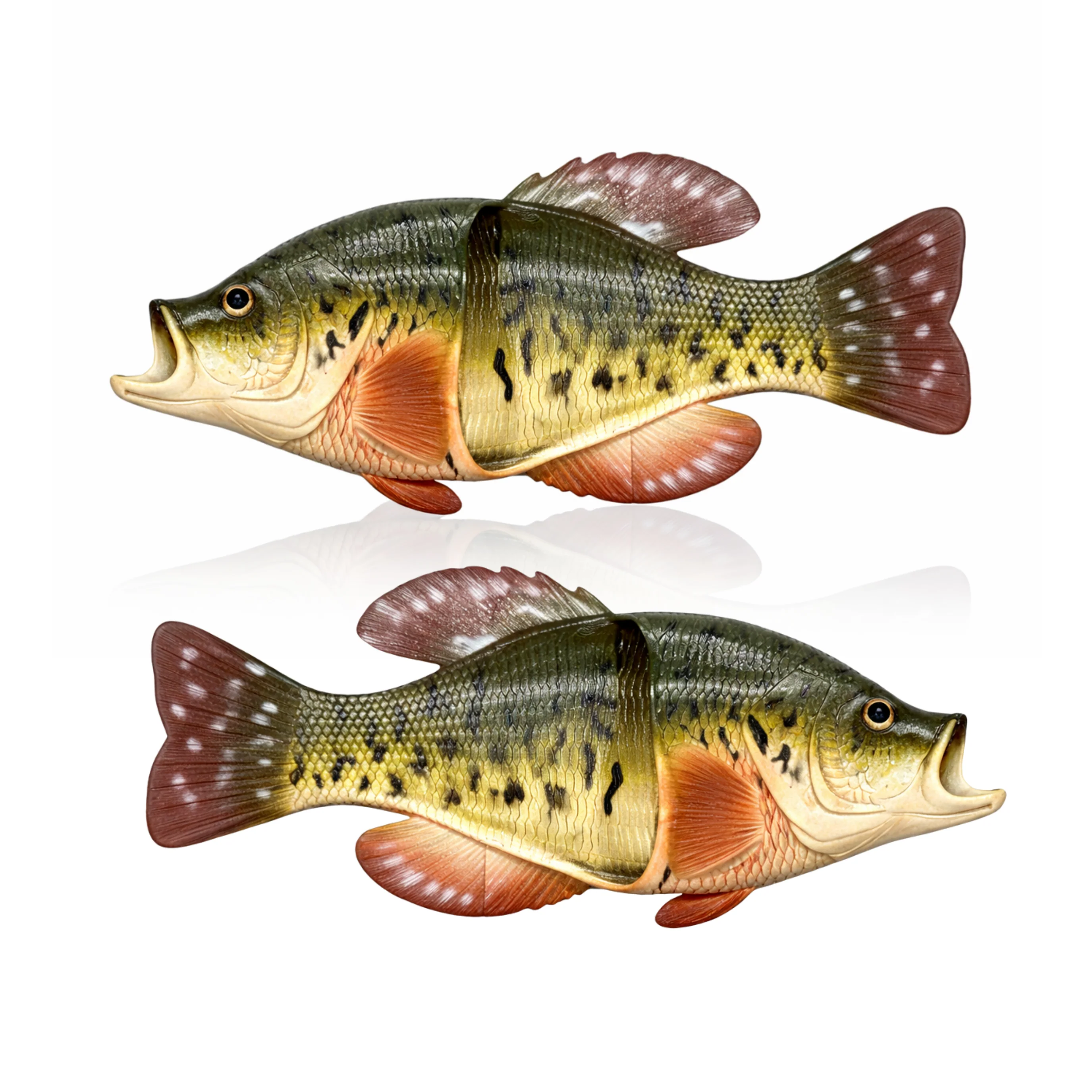 Fish Sandal Adult Small-Crappie - Image 1