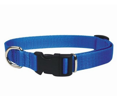CHABA Obroża taśma regulowana 16mm x 40cm niebieska - Image 1