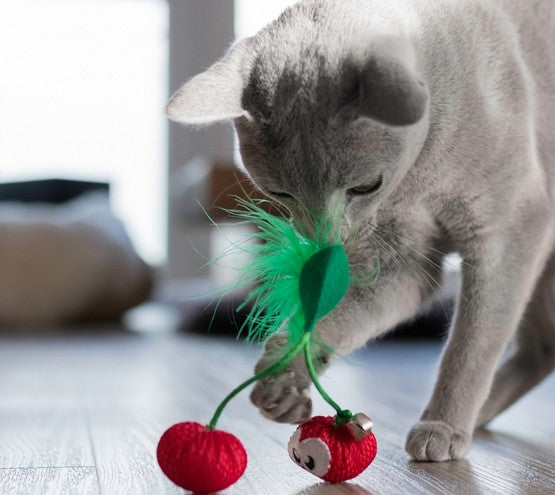 Petstages Cherry Dental dla kota [PS67833] - Image 2