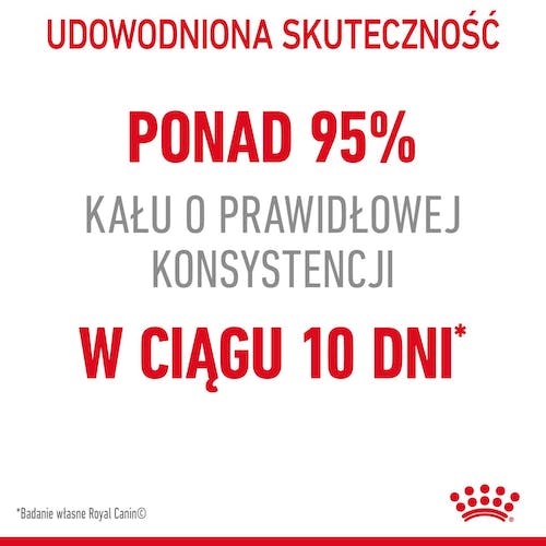Royal Canin Digestive Care karma sucha dla kotów dorosłych, wspomagająca przebieg trawienia 4kg - Image 2