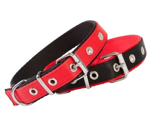 Dingo Obroża taśma polipropylenowa podwójnie zszywana 2,5cm/60cm czerwono-czarna - Image 2
