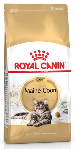 Royal Canin Maine Coon Adult karma sucha dla kotów dorosłych rasy maine coon 4kg - Image 2