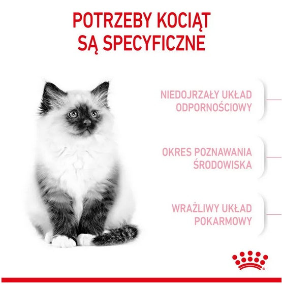 Royal Canin Kitten karma sucha dla kociąt od 4 do 12 miesiąca życia 2kg - Image 3
