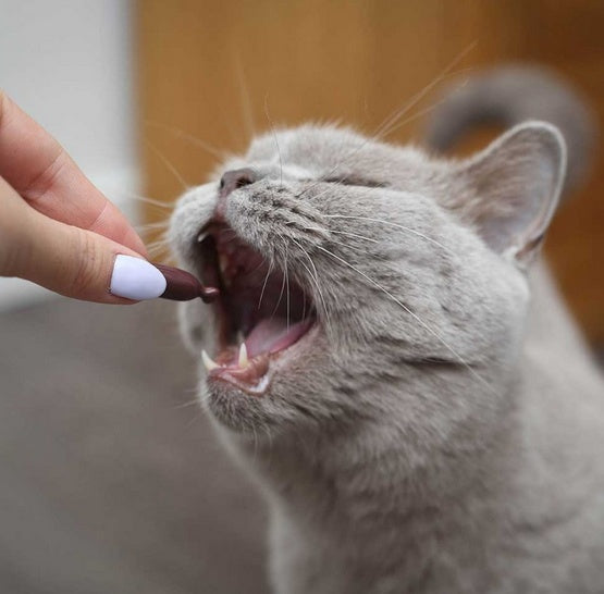 UrinoVet Cat 45 tabletek - Image 3