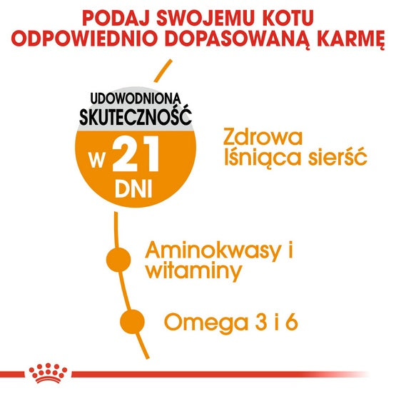 Royal Canin Hair&Skin Care karma sucha dla kotów dorosłych, lśniąca sierść i zdrowa skóra 400g - Image 3