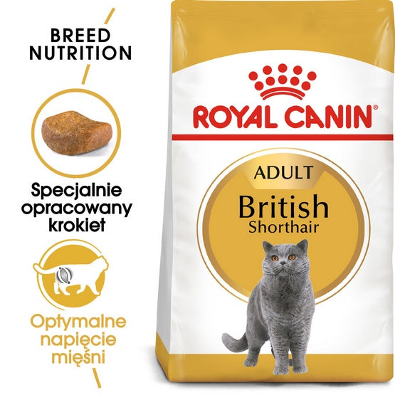 Royal Canin British Shorthair Adult karma sucha dla kotów dorosłych rasy brytyjski krótkowłosy 4kg - Image 1