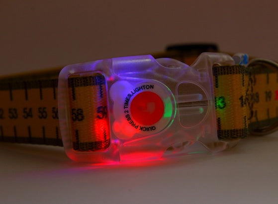 Matteo Obroża Klamra LED 25mm miara - Image 3