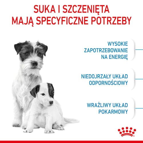 Royal Canin Mini Starter Mother&Babydog karma sucha dla szczeniąt do 2 miesiąca i suk karmiących ras małych 1kg - Image 2