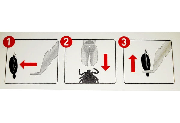 Beaphar Tick Pen do łatwego usuwania kleszczy - Image 3