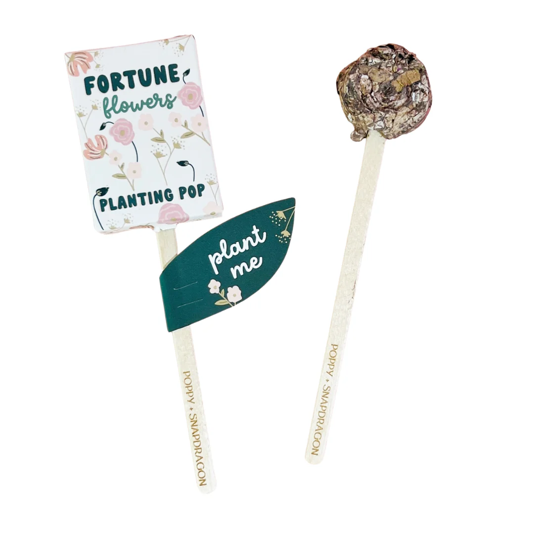 Fortune Flowers Garden + Gift Seed Planting Pop - Image 1