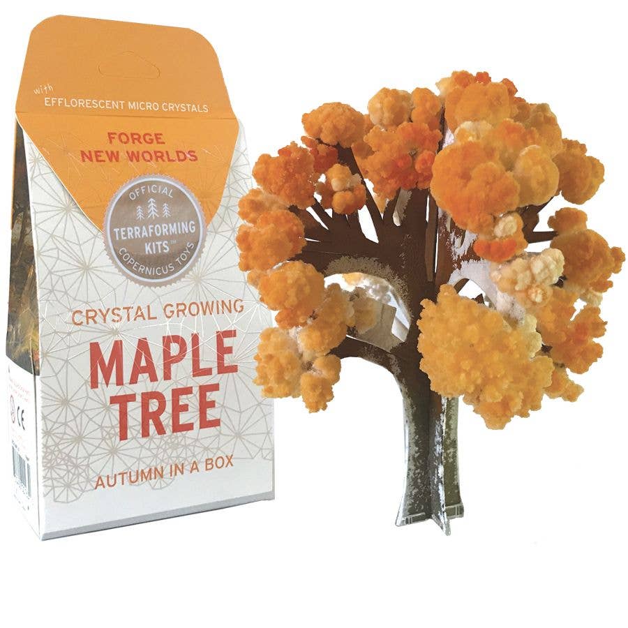 Crystal Growing Maple Tree |  Craft Kit Science Kit