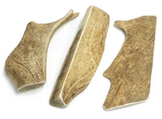 4DOGS gryzak z poroża daniela L - wyjątkowo trwałe naturalne żucie - Image 2