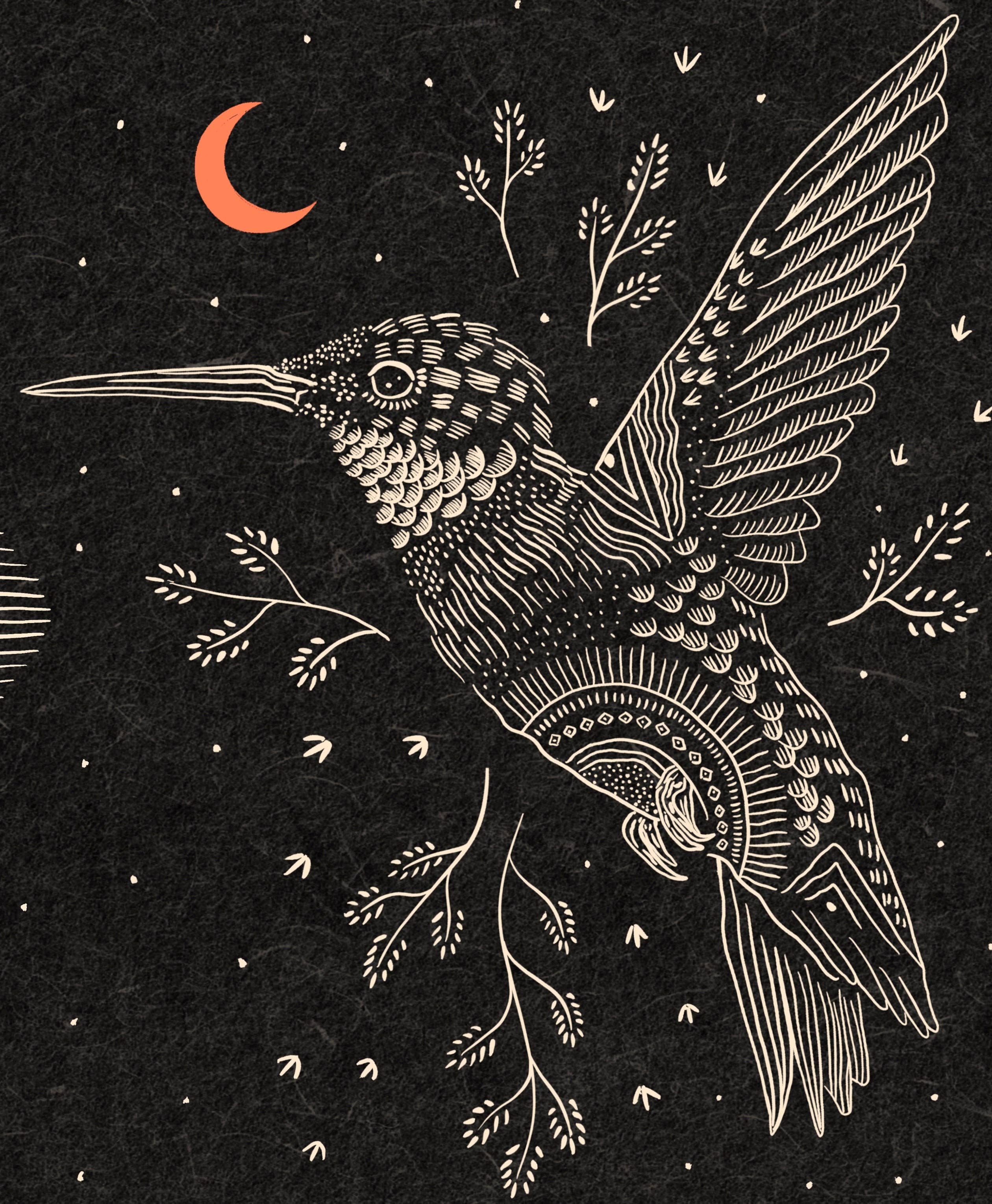 Hummingbird at Night - Image 1