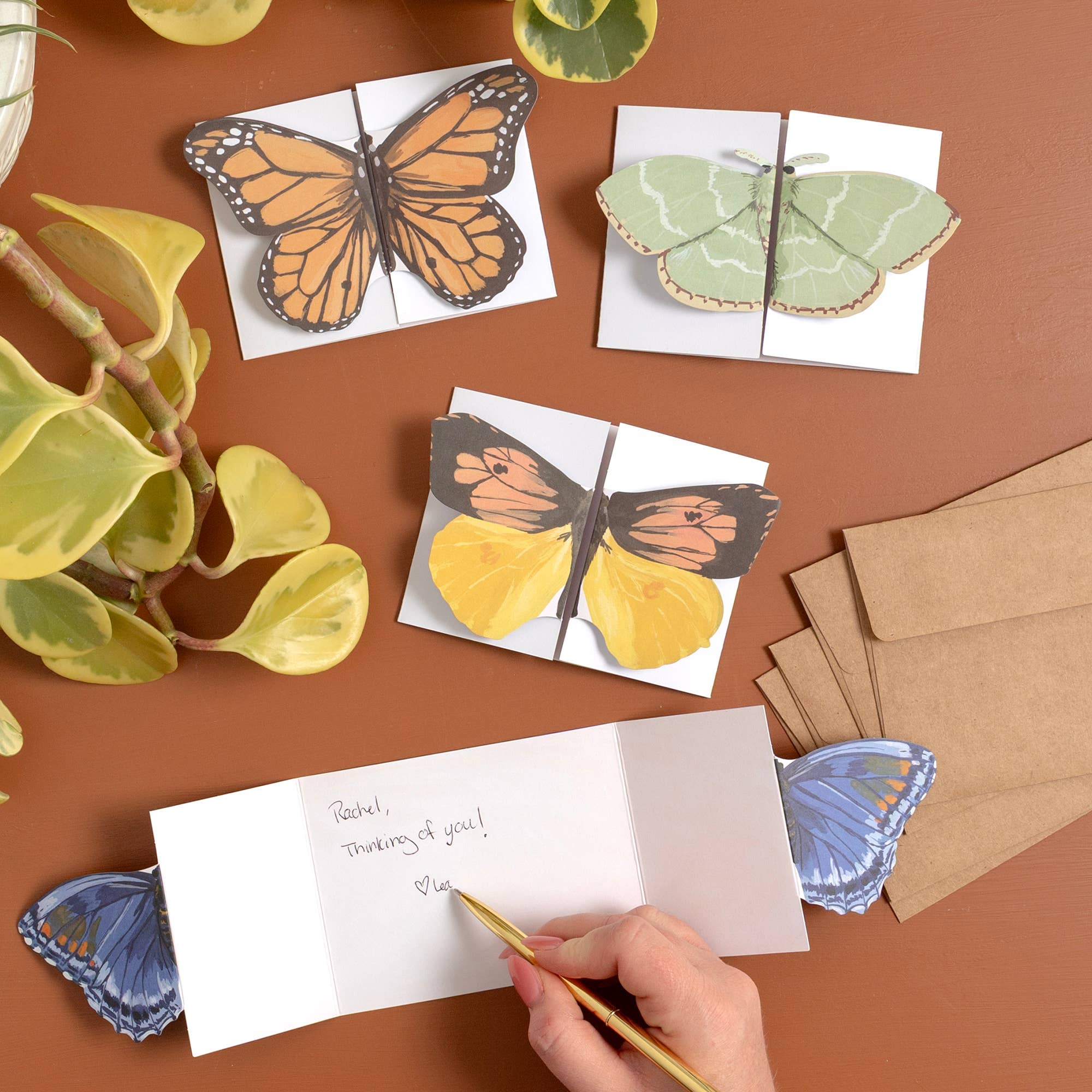 Flutter Friends Butterfly Fold-Out Greeting Card Set - Image 3