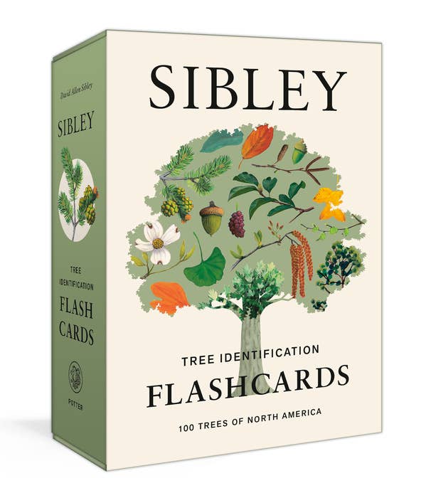 Sibley Tree Identification Flashcards - Image 1