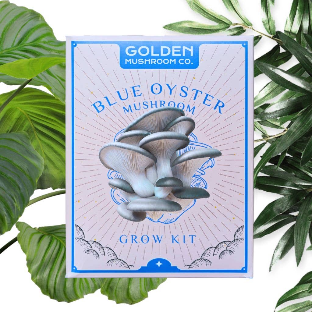 Blue Oyster Mushroom Grow Kit - Image 1