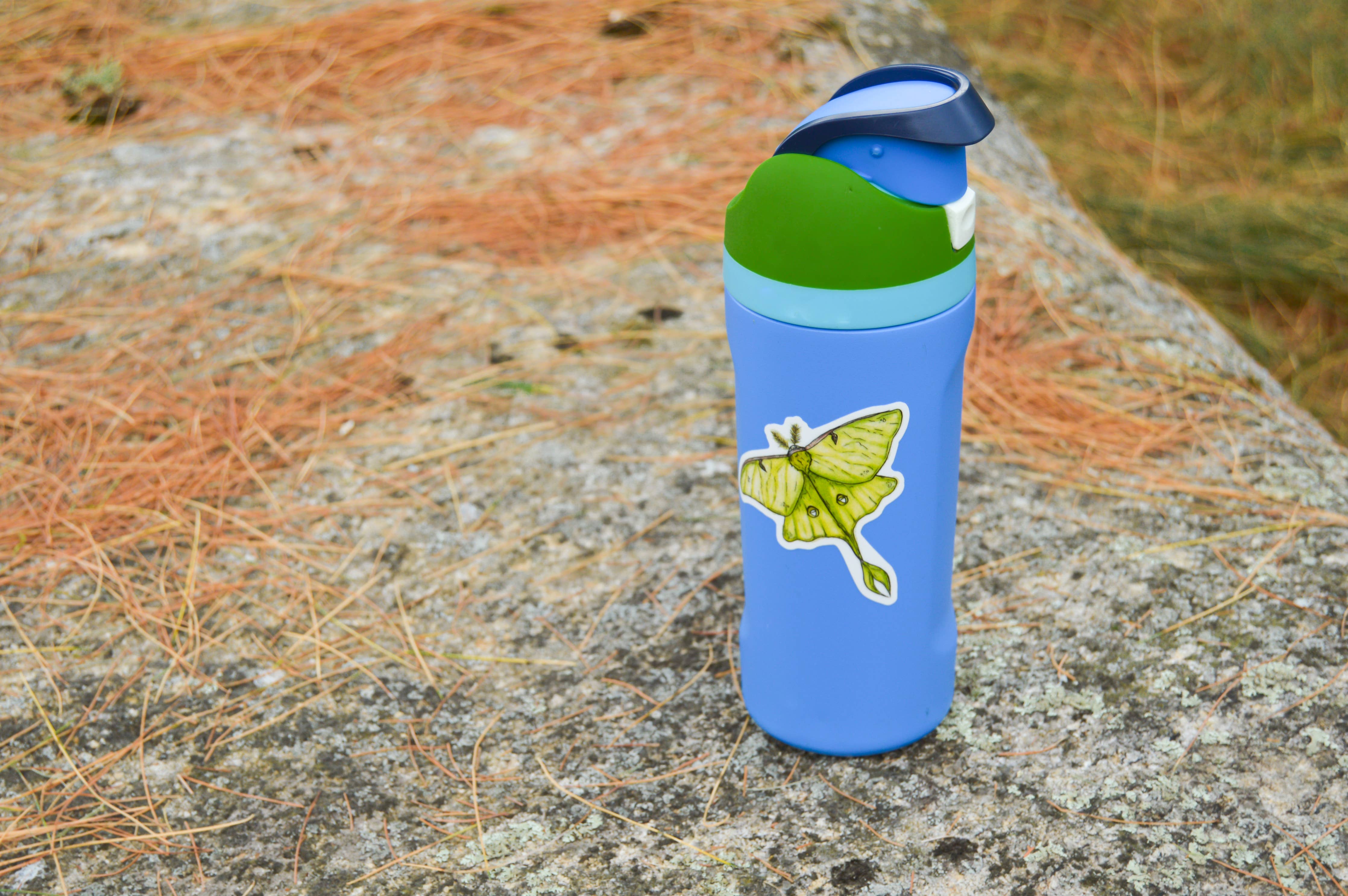 Luna Moth Sticker - Image 3