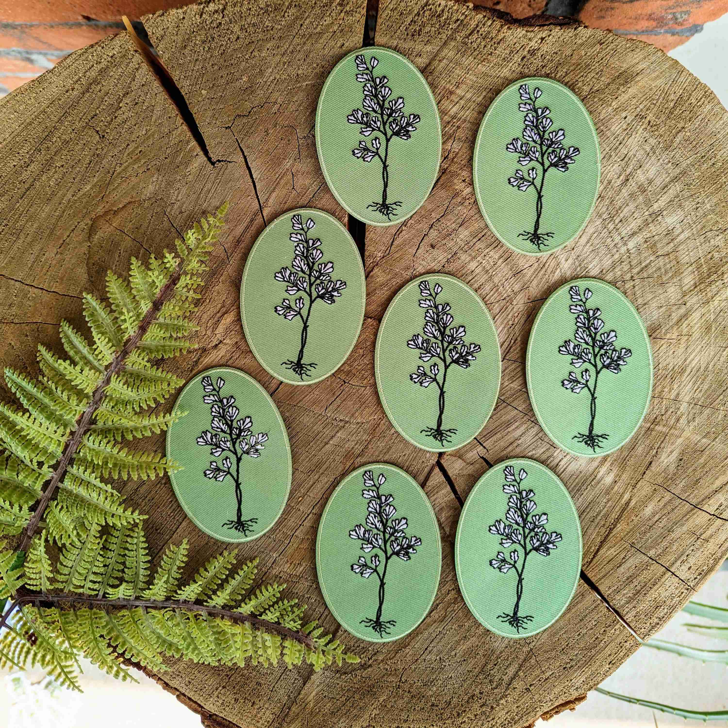 Patch | maidenhair fern - Image 3