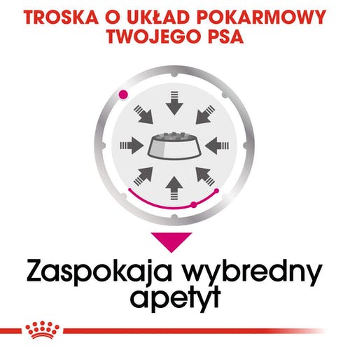 Royal Canin Exigent karma mokra dla wybrednych psów dorosłych, wszystkich ras, pasztet saszetka 85g - Image 3