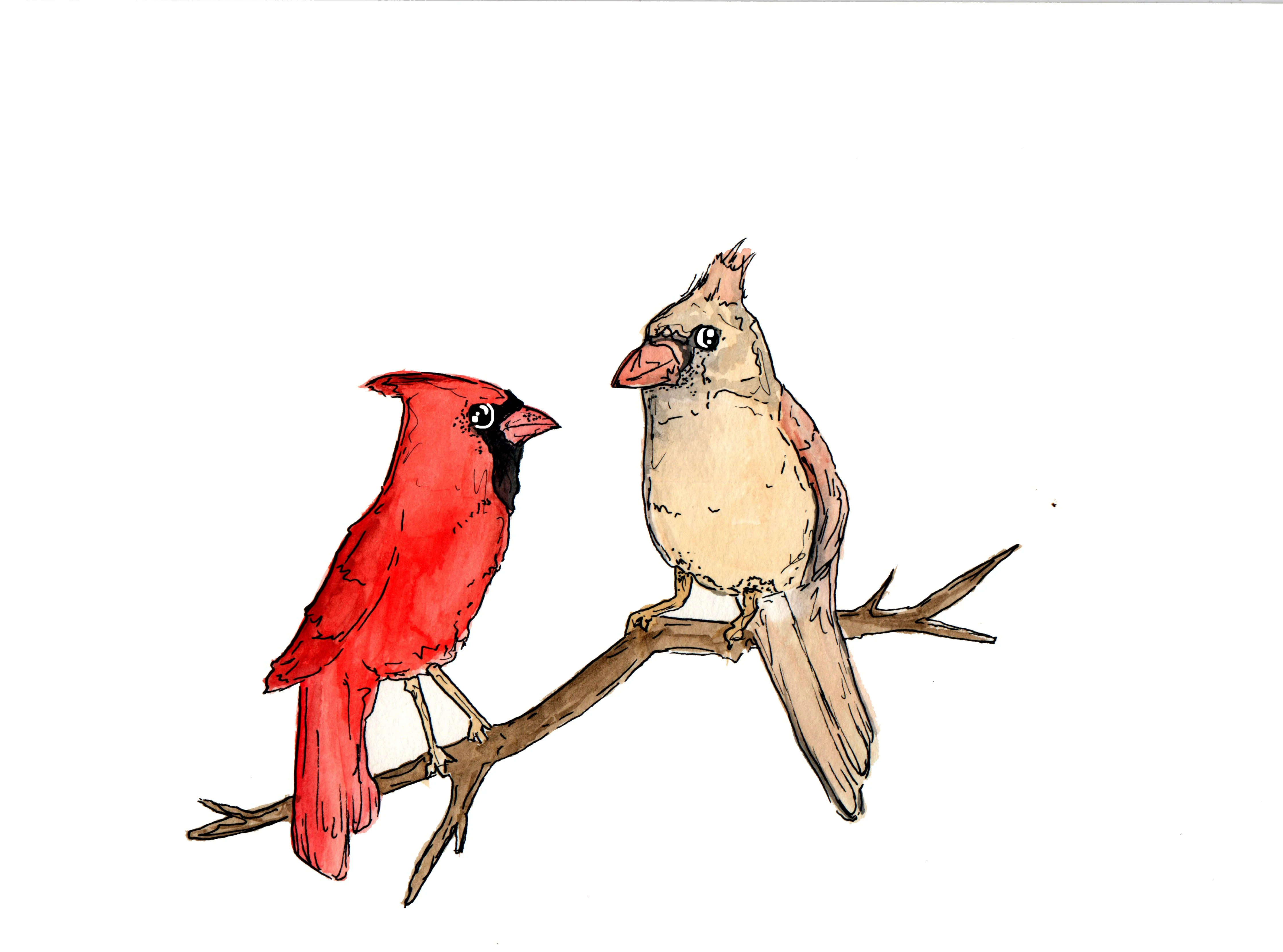 Cardinal Pair Sticker - Image 3