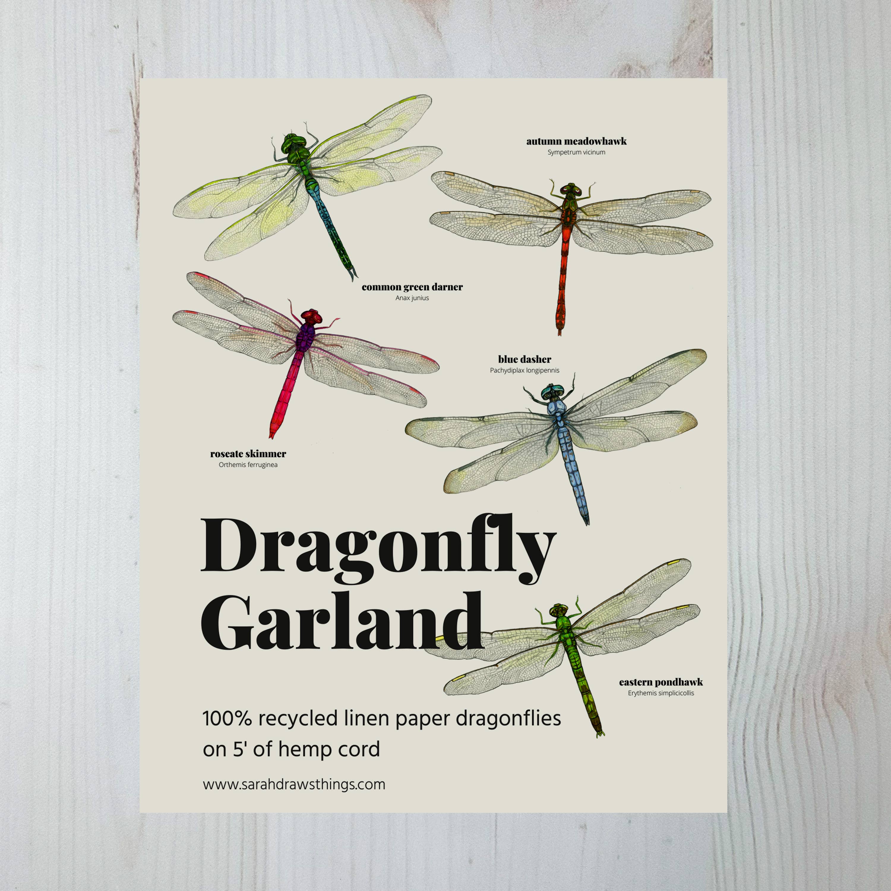 Dragonfly Illustrated Garland - Image 3