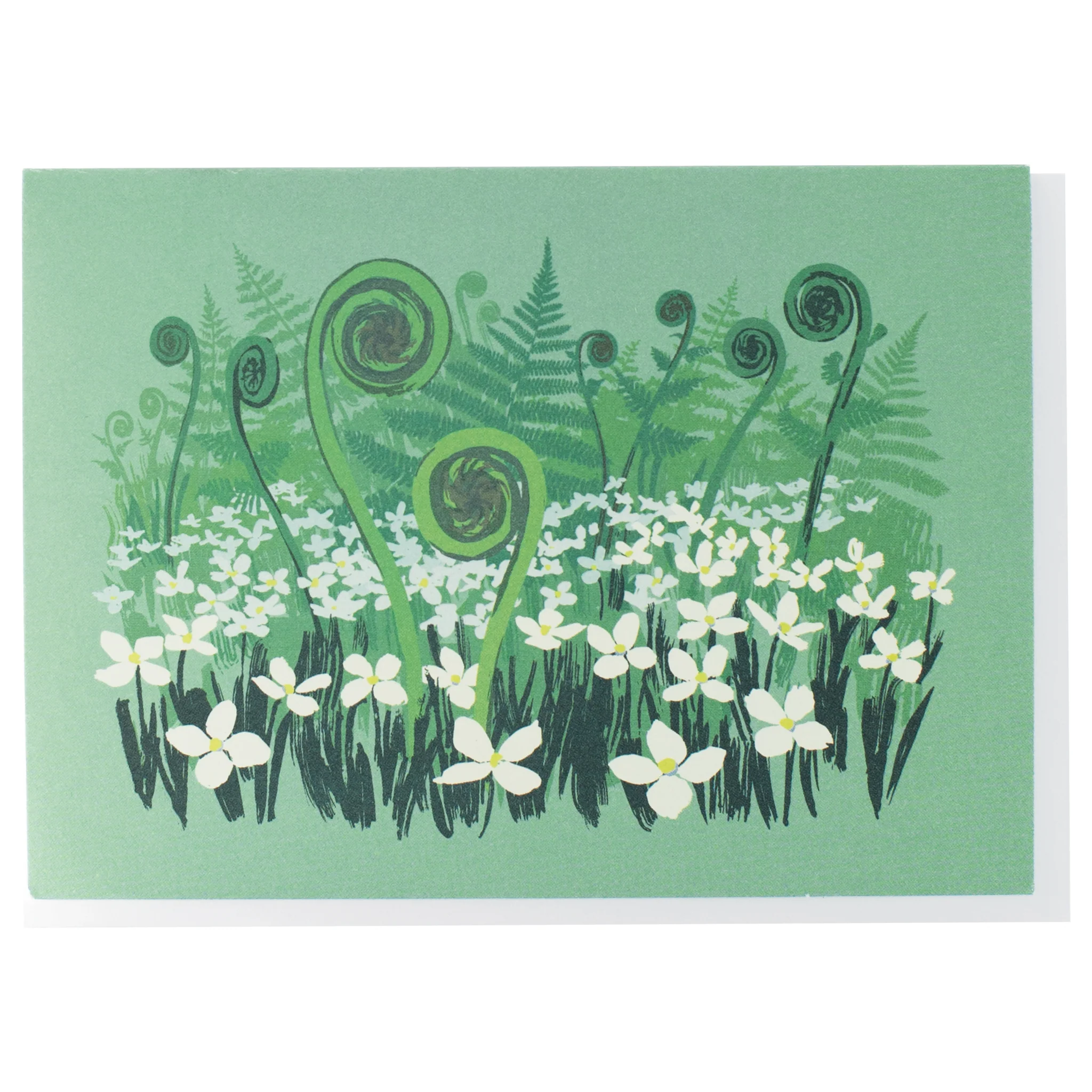Fiddlehead Ferns Note Card - Image 1