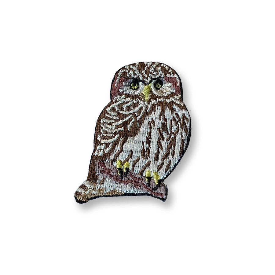 Northern Pygmy-Owl Patch - Image 1