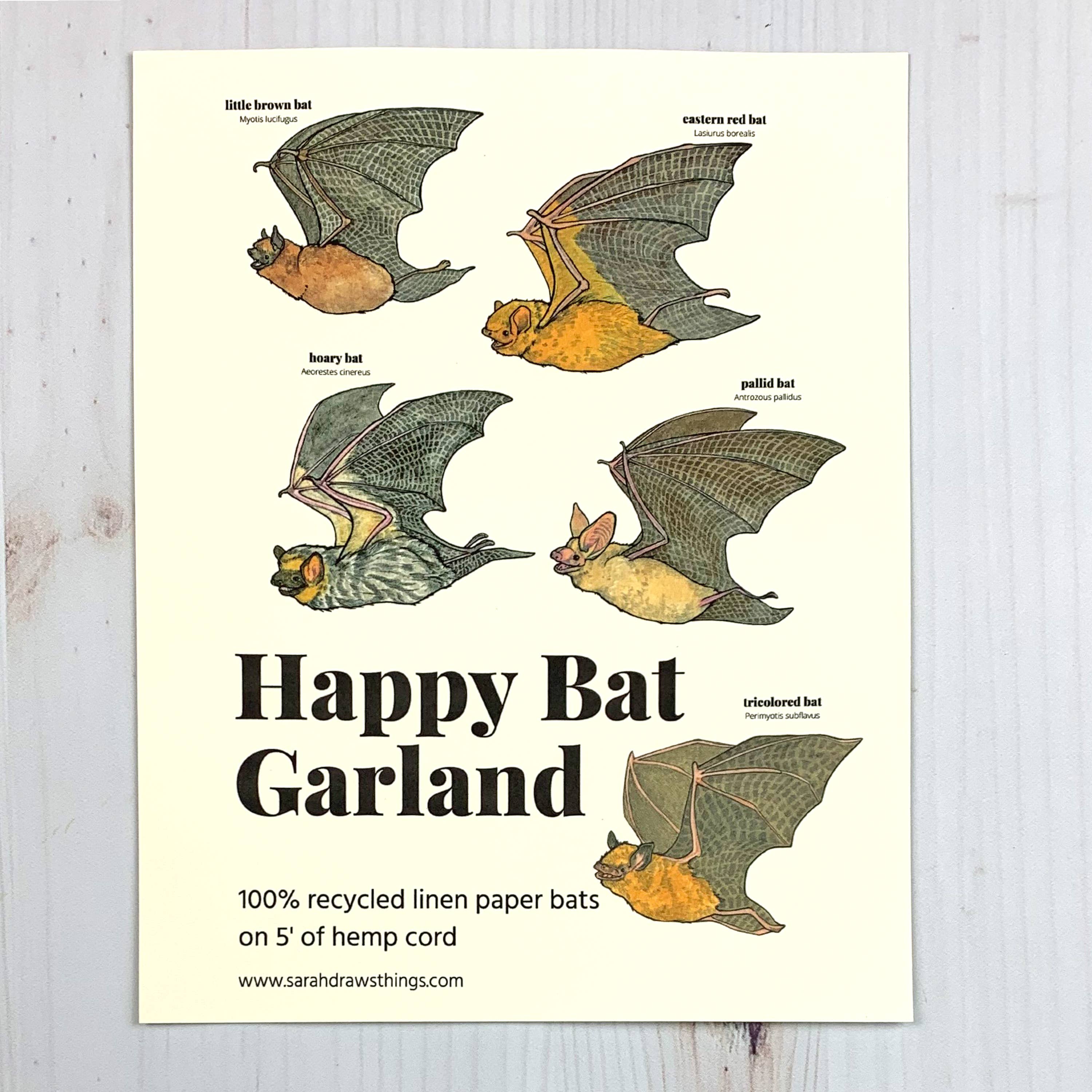 Happy Bat Illustrated Garland - Image 3