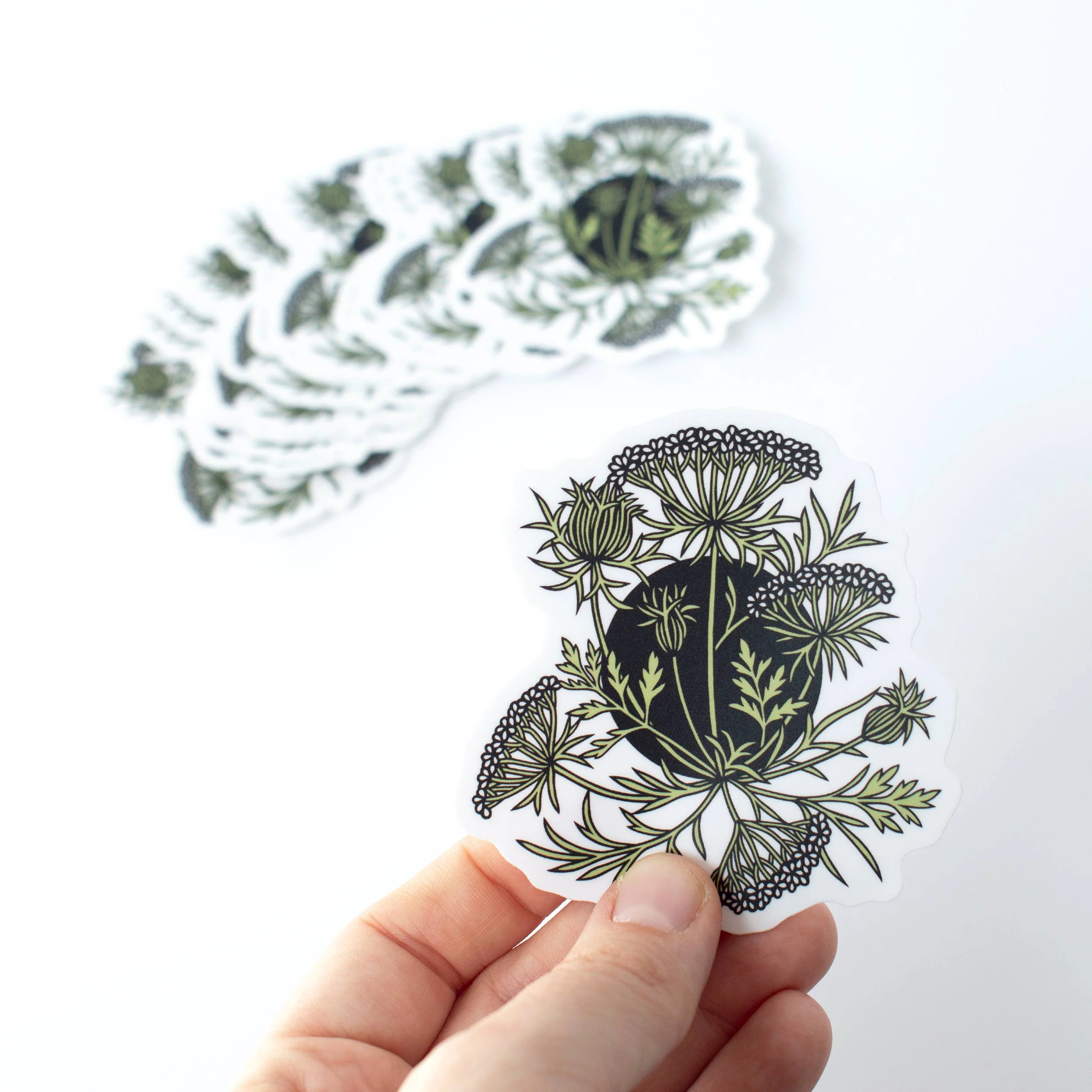 Queen Anne's Lace vinyl sticker - Image 3