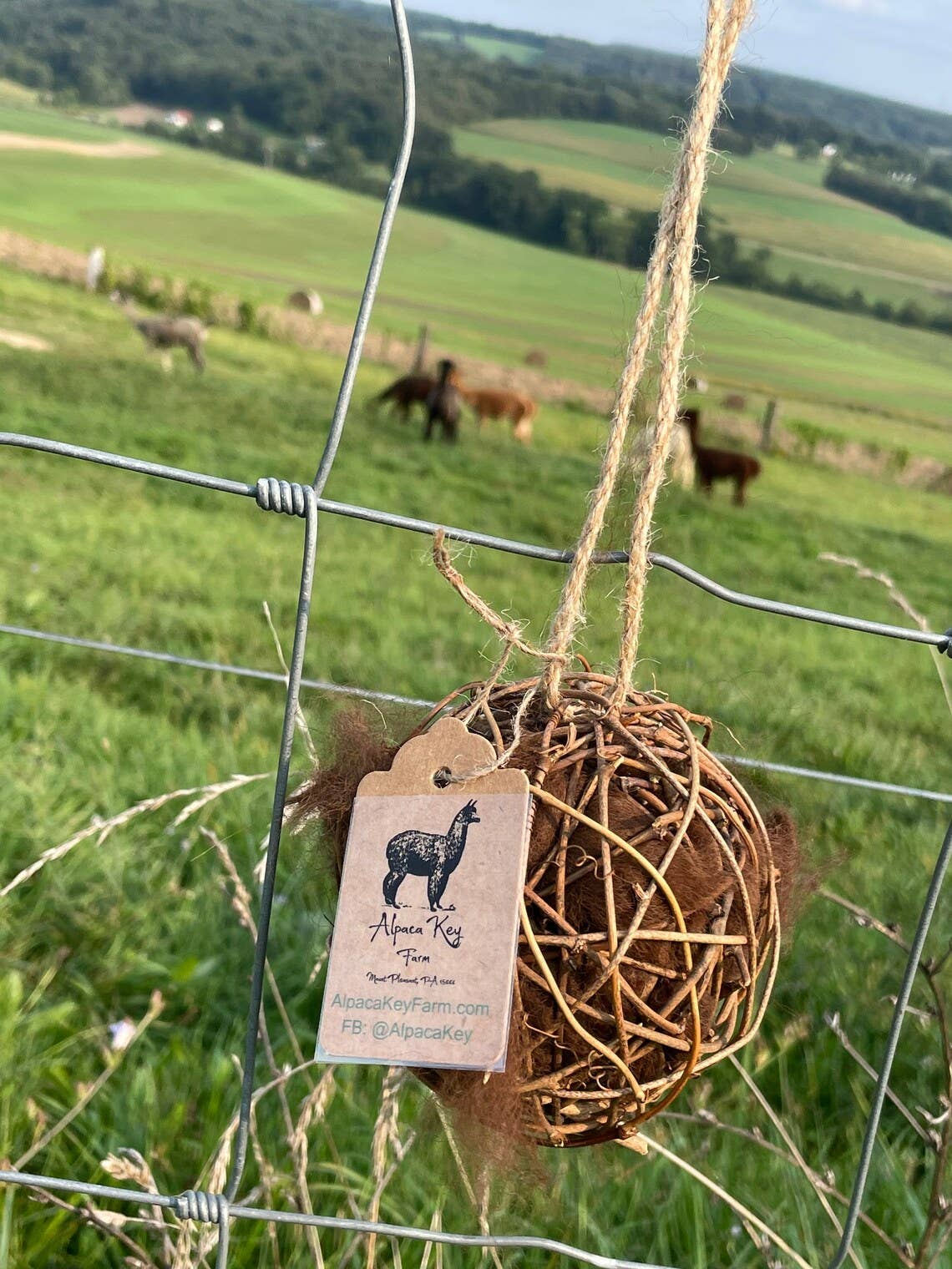 Alpaca-Fleece Filled Bird Nest Starter Grapevine Ball - Image 3