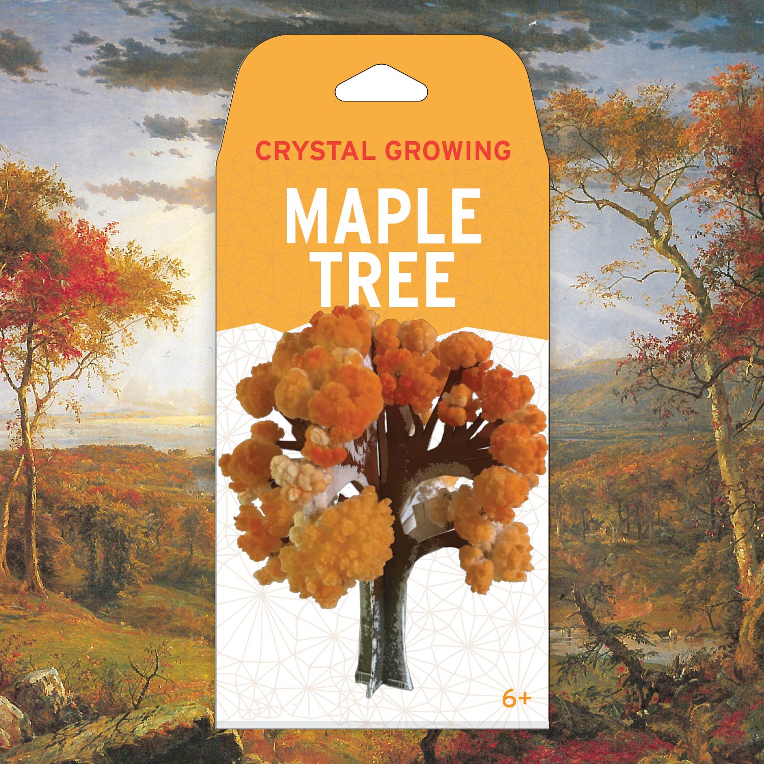 Crystal Growing Maple Tree |  Craft Kit Science Kit - Image 2