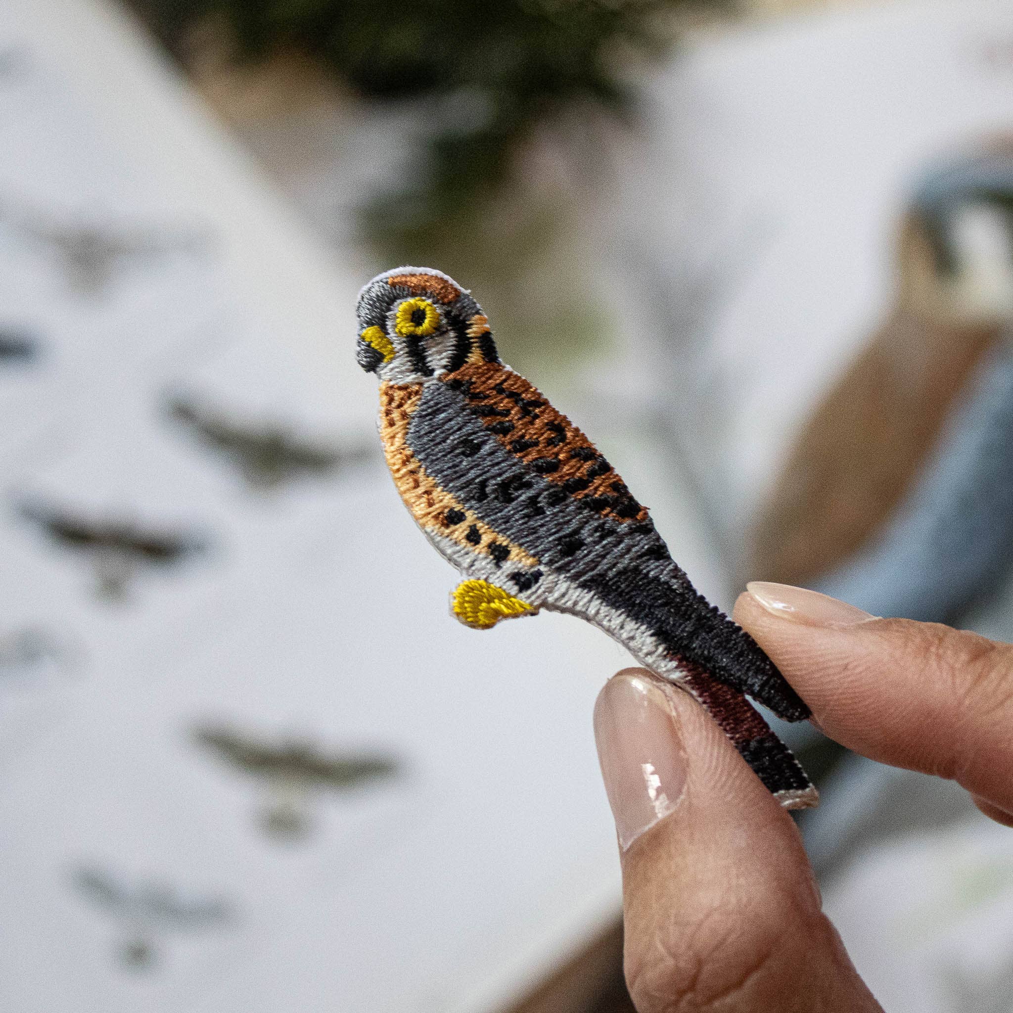 American Kestrel Patch - Image 2
