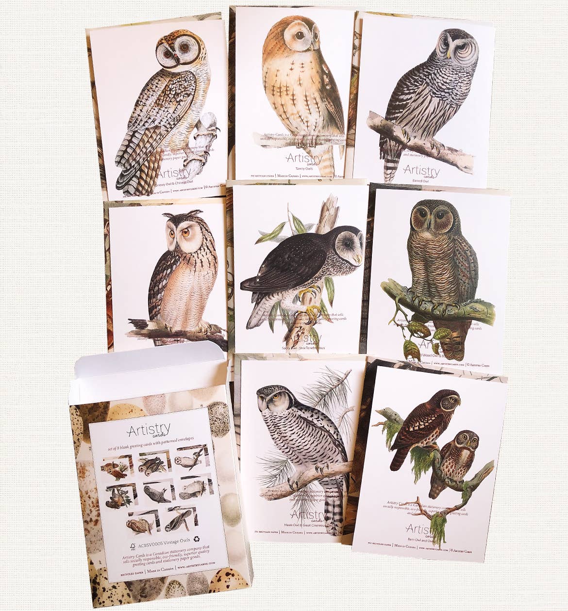 Boxed Set of 8 Vintage Owl Greeting Cards - Image 2