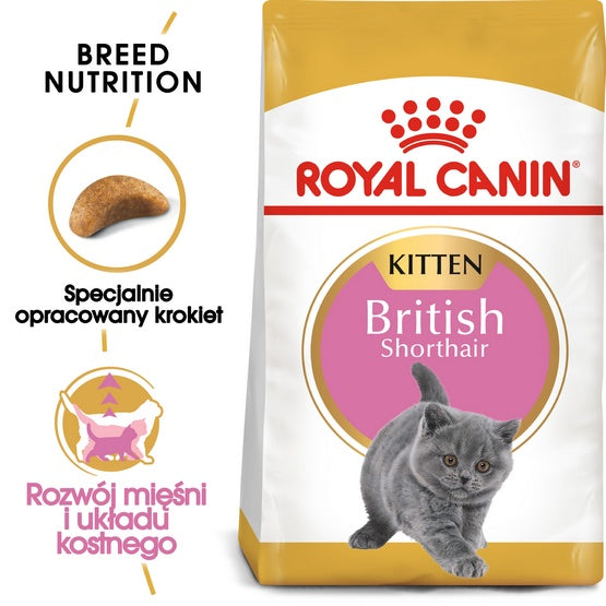 Royal Canin British Shorthair Kitten karma sucha dla kociąt, do 12 miesiąca, rasy brytyjski krótkowłosy 400g - Image 1