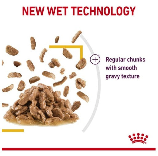 Royal Canin Sensory Taste w sosie karma mokra dla kotów dorosłych saszetka 85g - Image 3